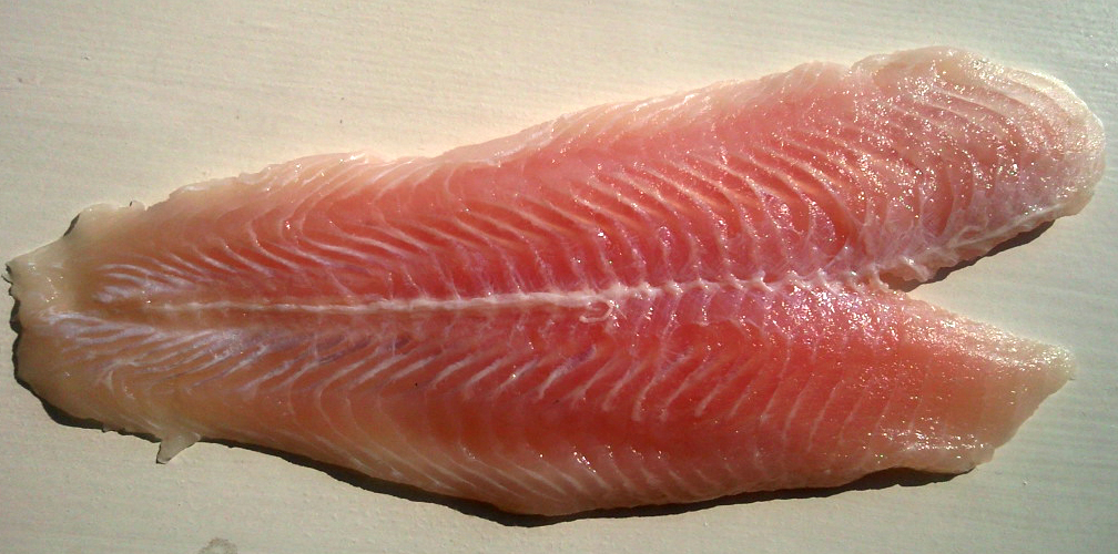 Ikan Fillet Segar